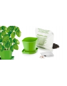  Souprava pro pěstování bylinek SENSE, bazalka 