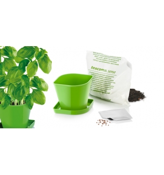 Souprava TESCOMA pro pěstování bylinek SENSE, bazalka